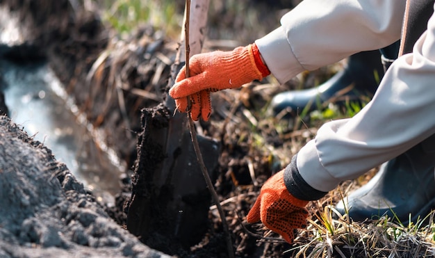 Jakie korzyści niesie regularne opróżnianie przydomowych zbiorników na nieczystości?